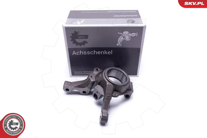 Steering Knuckle, wheel suspension